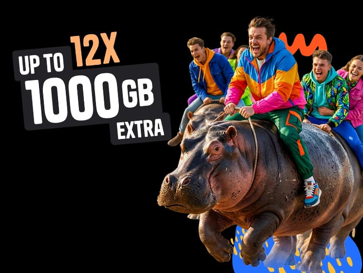 Banner with a hippo and a Mobile Vikings offer: large data package and first month for 1 PLN