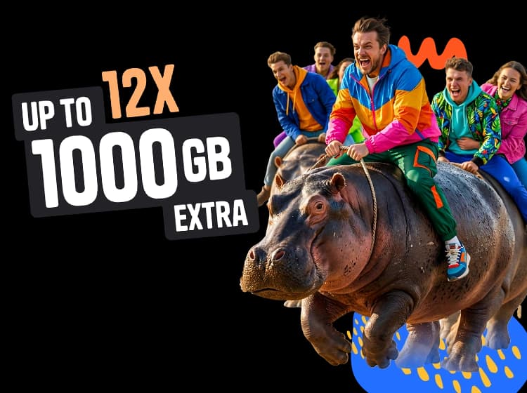 Banner with a hippo and a Mobile Vikings offer: large data package and first month for 1 PLN