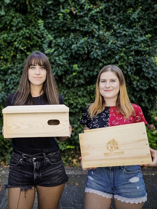 10 years together swift box mobile vikings