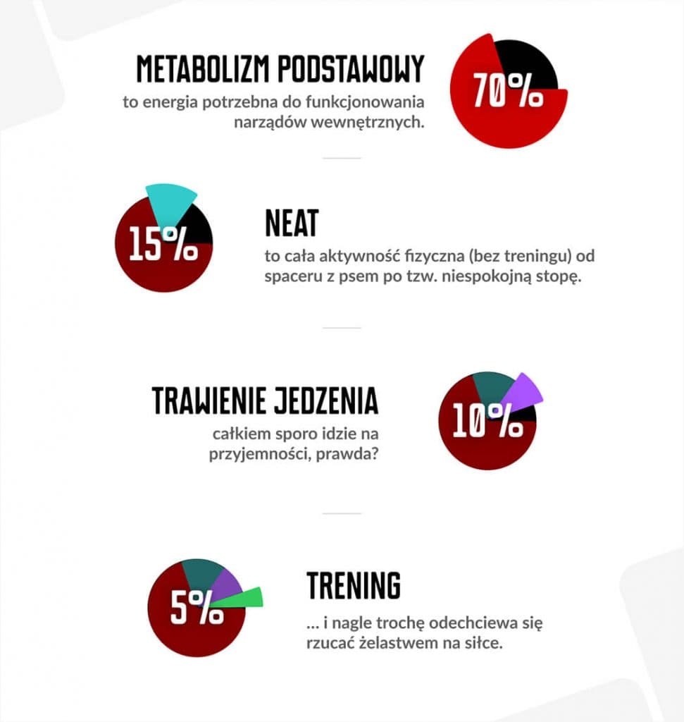 what makes up total metabolism